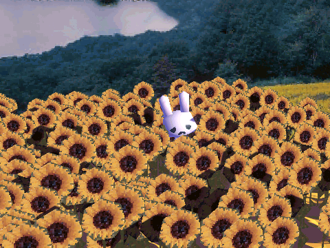 White Image
